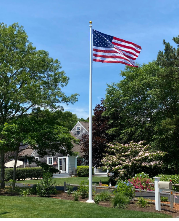 Zeus Apollo Series in a residential yard