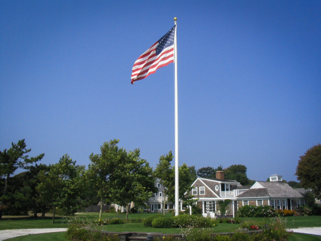 Zeus Apollo Series in a residential yard