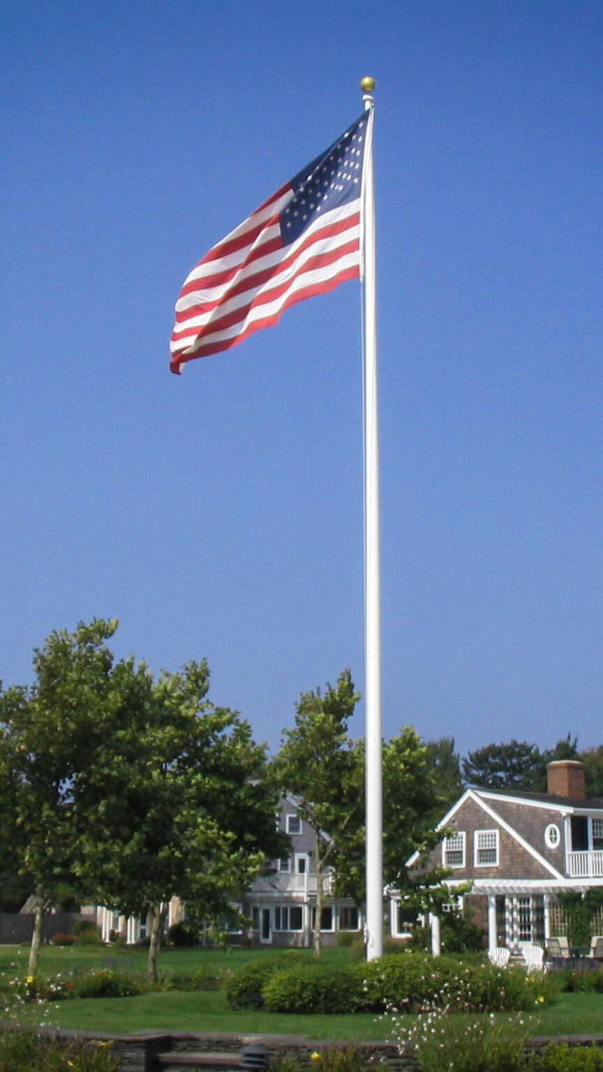 Zeus Apollo Series in a residential yard